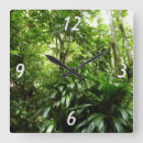 Recherche de vert forêt horloges Tropical