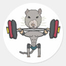 Search for gym rat stickers Powerlifting
