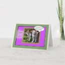 Search for funny cat easter cards Cats