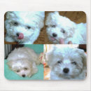 Search for tiny mousepads Puppy