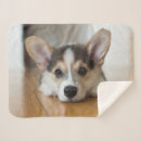 Search for pembroke welsh corgi blankets Queen elizabeth's