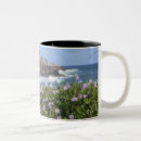 Search for savanah mugs Kauai