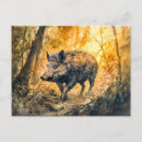 Recherche de sangliers cartes postales Animaux
