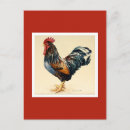 Search for cockerel postcards Rooster