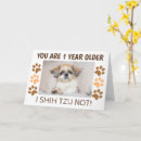 Search for shih tzu birthday cards Animals