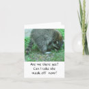 Search for raccoon birthday cards Animals