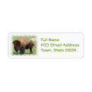 Search for bison return address labels Buffalo