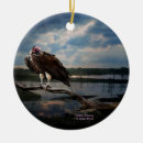 Search for vulture ornaments Nature
