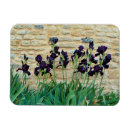 Recherche de barbu magnets Nature