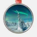 Search for finland ornaments Snow