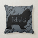 Recherche de cavalier king charles coussins Amour