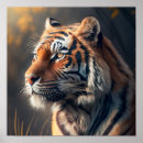 Recherche de tigres posters Jungle