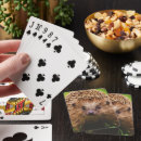 Recherche de hérisson jeux de cartes Petit
