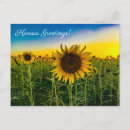 Recherche de salutation de tournesol posters Soleil