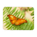 Recherche de papillon orange magnets Ailes