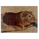 Search for pig cutting boards Rodent
