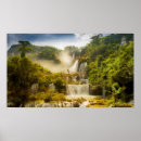 Recherche de lorie posters Nature