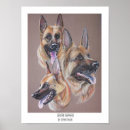 Search for shepherd posters Drawing