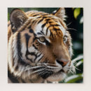 Search for tiger face puzzles Wildlife
