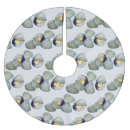 Recherche de poissons jupon de sapin Plage