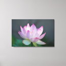 Search for lotus flower canvas prints Pink
