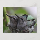 Search for spring leaves postcards Cute