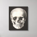 Search for human skeletons art Skeletal