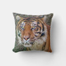 Recherche de tigres coussins Cool