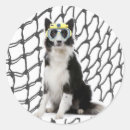 Search for origin stickers Dogs
