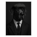 Search for great dane posters Pet