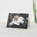 Search for manipulation cards Floral