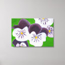 Search for pansies art Flower