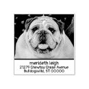Recherche de photo rubber stamps Pour animaux