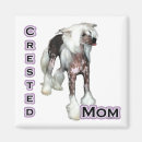 Search for puff magnets Chinese crested
