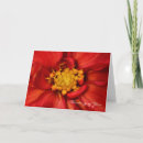Search for matching set cards Floral
