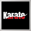 Recherche de combat de karaté posters Tae kwon do