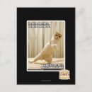 Search for put postcards I can has cheezburger