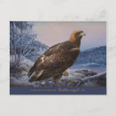 Recherche de ferdinand Aigle