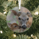 Search for fawn deer ornaments Animals in the wild