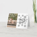 Recherche de bichon frise christmas cards Noël