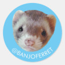 Search for banjo stickers Cute