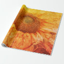 Search for grunge wrapping paper Yellow