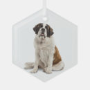 Search for st bernard ornaments Pet