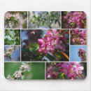 Search for apple tree mousepads Trees