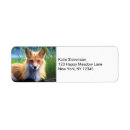 Search for wilderness animal return address labels Wildlife