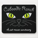 Search for charities electronics Cats