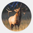 Search for wild elk stickers Outdoors
