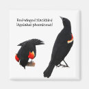 Search for blackbirds magnets Nature
