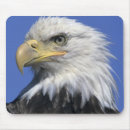 Search for haliaeetus mousepads Usa