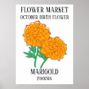 Search for marigold posters Birth flower